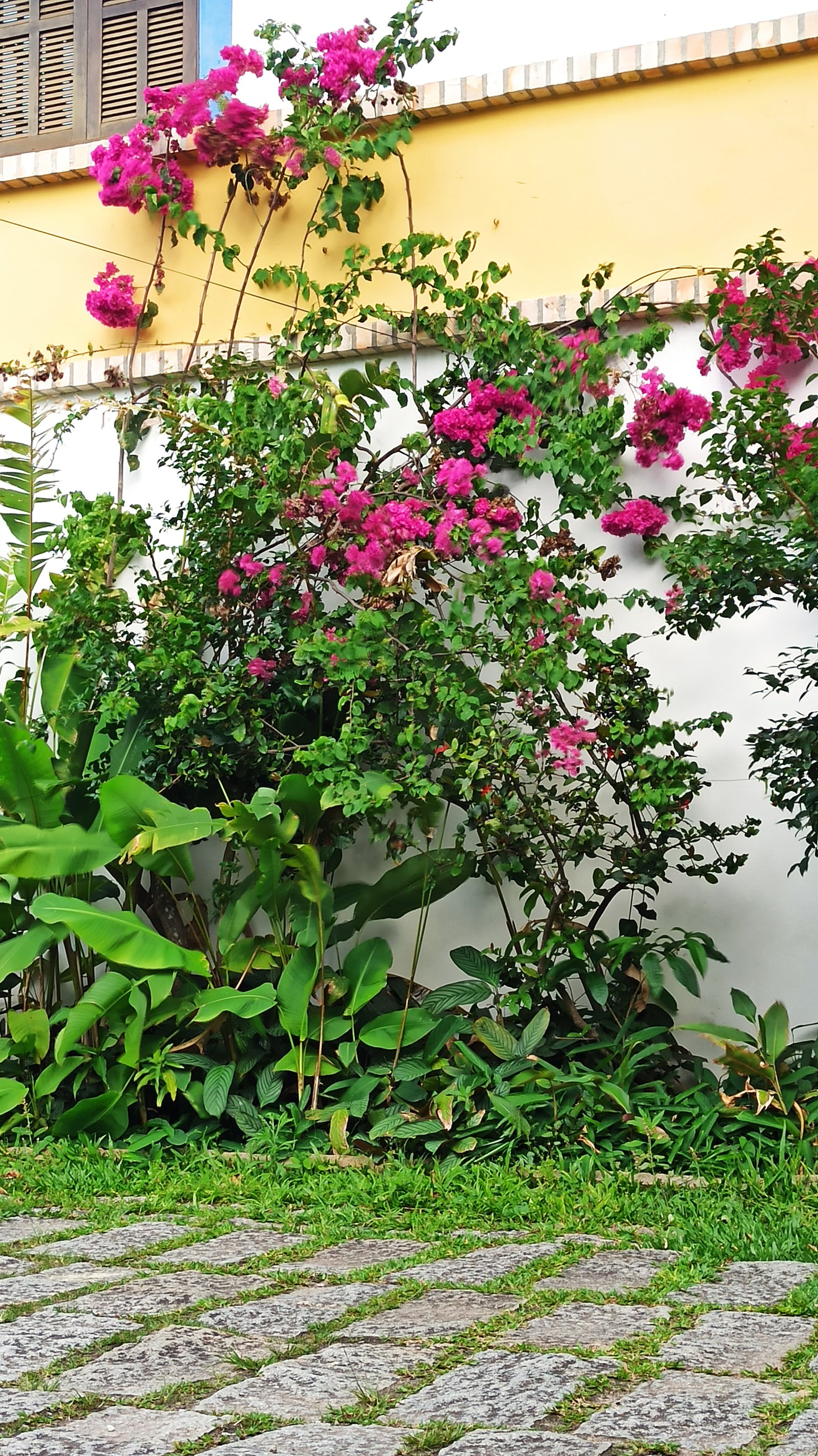 Pousada Natur Campeche - Jardim